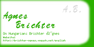 agnes brichter business card